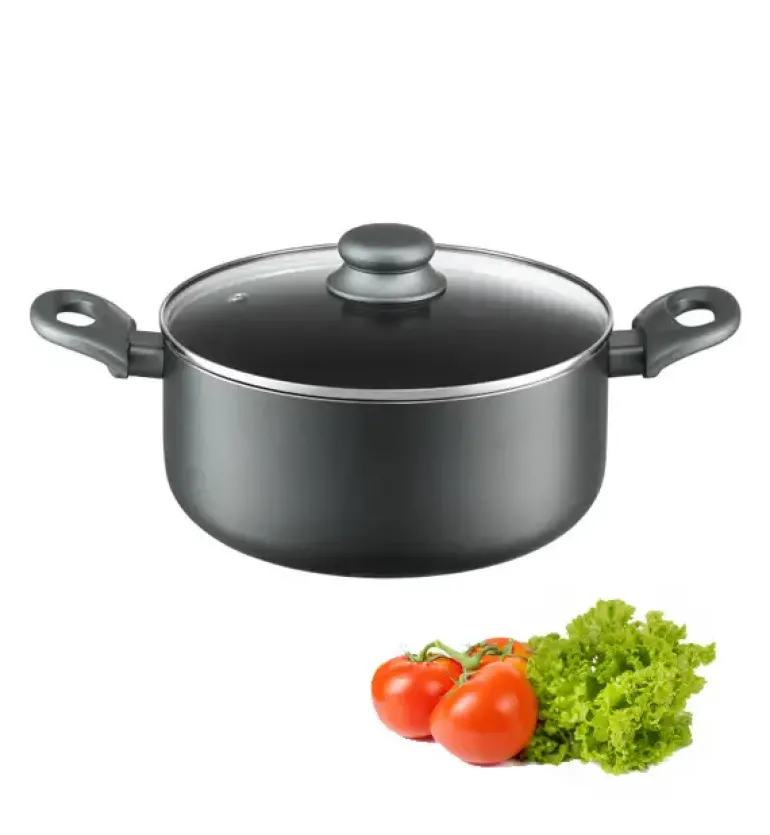 AMBITION GRAPHITE Garnek z pokrywką 24 cm 4,7 l / Powłoka ILAG BASIC