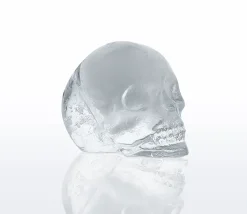 CILIO CRANIO Foremka do lodowych czaszek 11,5×8,5×4,5 cm / FreeForm