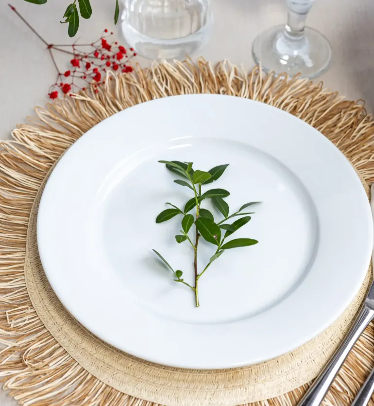 LUBIANA CORONA 0613 Talerz obiadowy 26 cm | biała porcelana