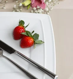 LUBIANA VICTORIA Serwis obiadowy 72 el SM / 24 osoby
