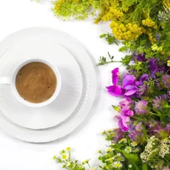 ĆMIELÓW SOFIA 0001 BIAŁA Zestaw kawowy 21 el / 6 osób / porcelana