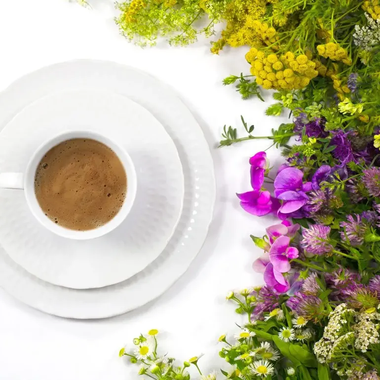 ĆMIELÓW SOFIA 0001 BIAŁA Zestaw kawowy 21 el / 6 osób / porcelana