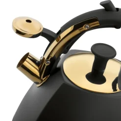 STARKE PRO GRAVA Czajnik z gwizdkiem 2.5 l / indukcja / czarny